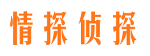 西昌市私家侦探